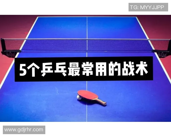 深入分析杭州乒乓球队的进攻战术与技术特点